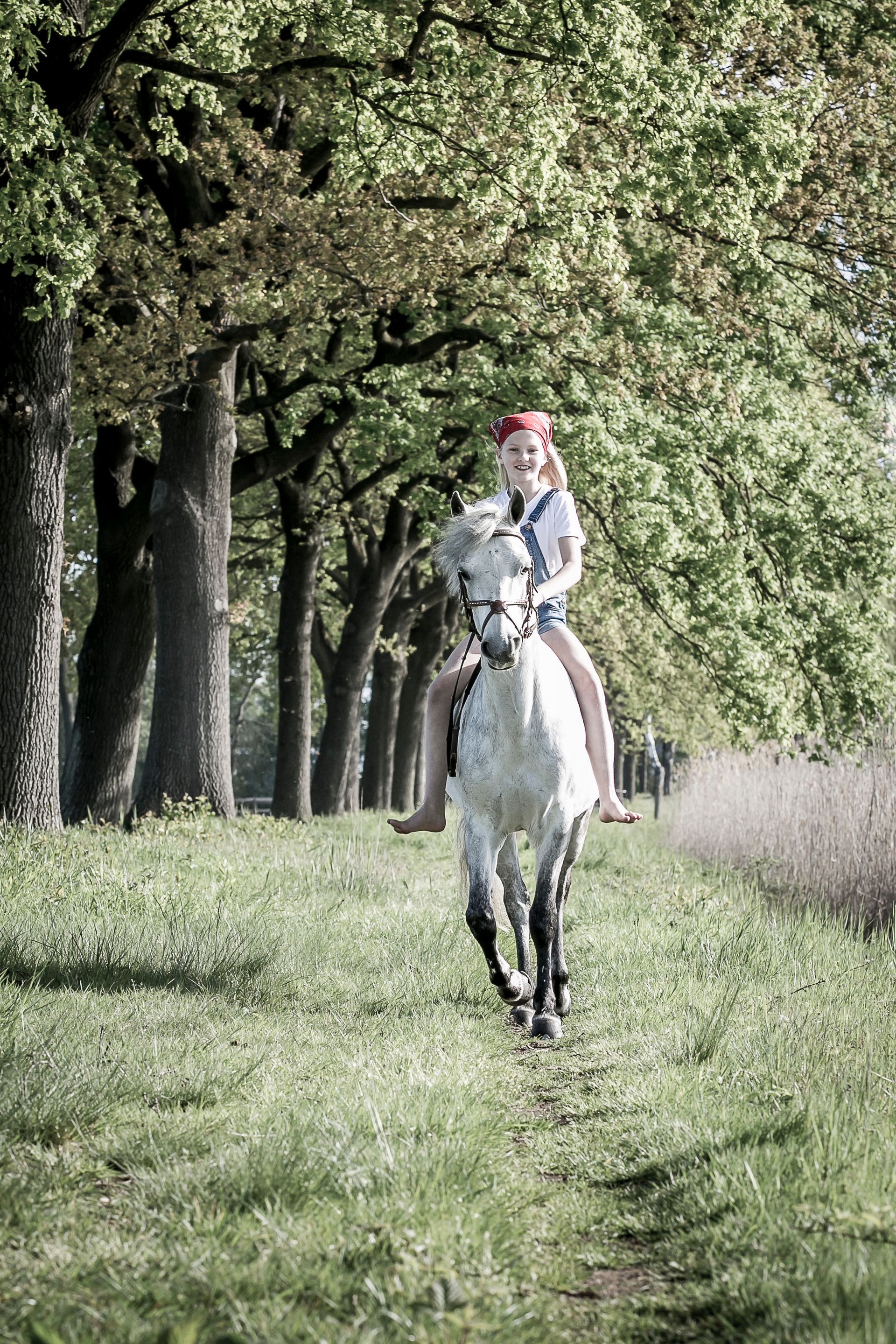 Renate
